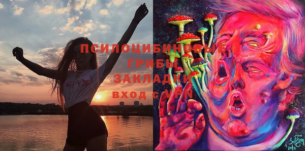 стафф Куйбышев