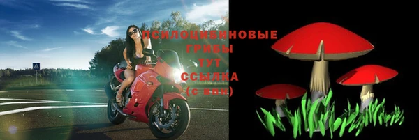 спиды Кулебаки