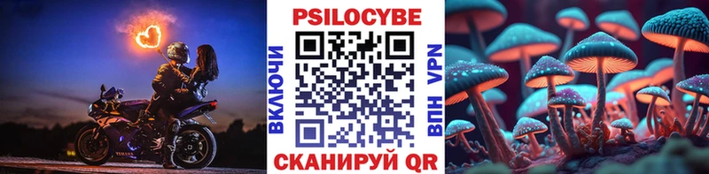 Купить закладки  Касимов  Псилоцибиновые грибы Cubensis 